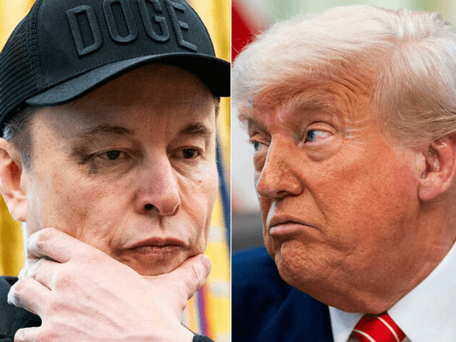 Tesla Stock Performance and Musk-Trump Dispute